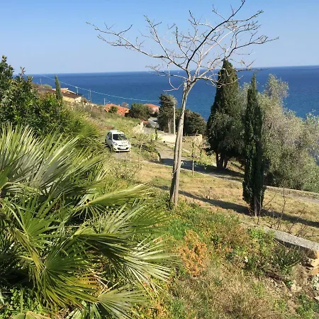 Piani فيلة