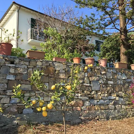 Vila Piani Cipressa